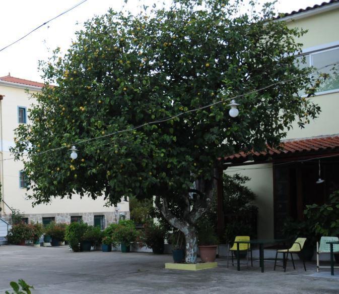 Costa-Rini Hotel Leonídion Exteriér fotografie